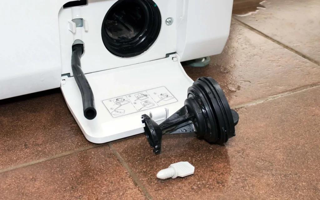 Clean Your Washer Drain Pump