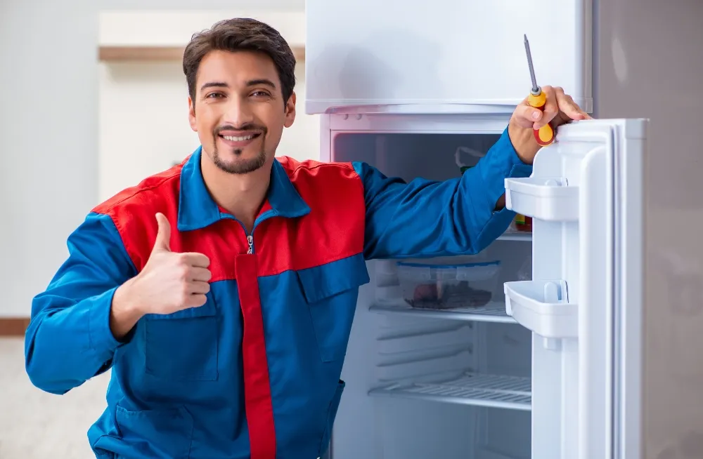 fridge repair expert