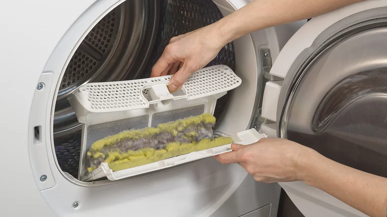 Clean the Lint Screen and Housing