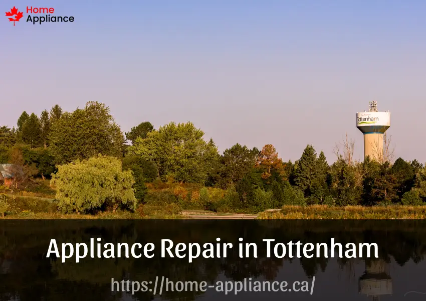 Appliance Repair in Tottenham
